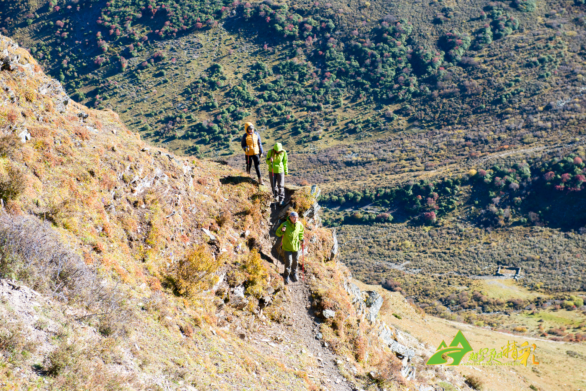 球队的整体 球队的整体