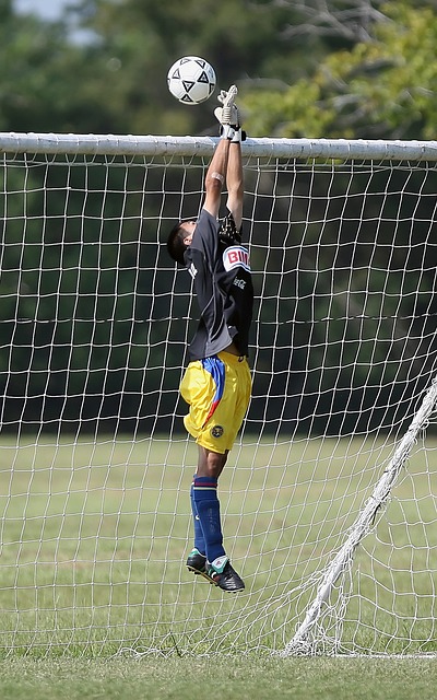 是他成为顶 是他成为顶