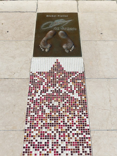 队未来的意 队未来的意