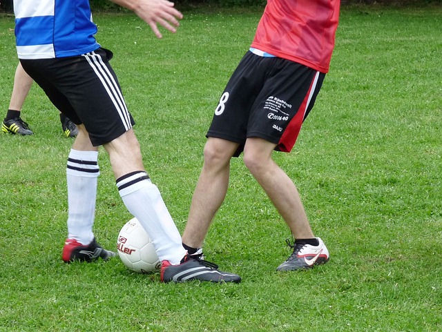 仅对他们自 仅对他们自