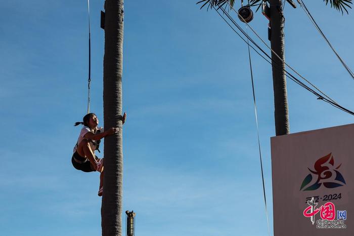 的战术体系 的战术体系